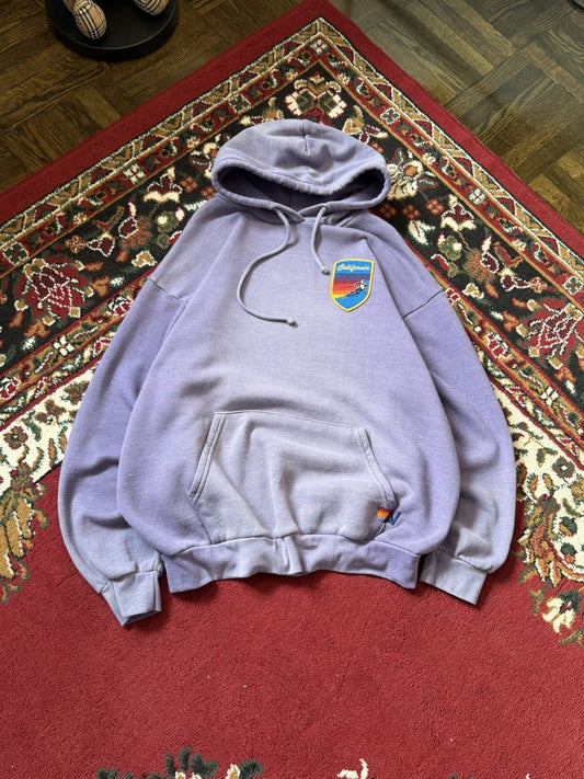 Aviator Nation Hoodie Mens M Purple Ski Chaser Pullover Mountain Graphic USA